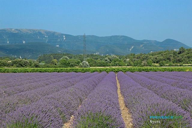 Villa Les Pins Mirabel-aux-Baronnies Εξωτερικό φωτογραφία